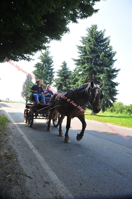 DSC_0879.JPG